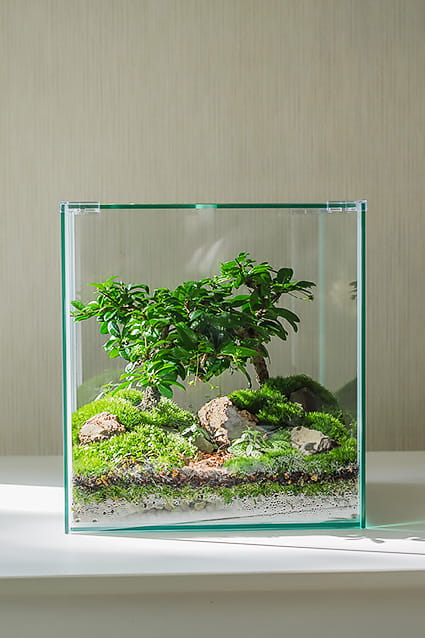 ФЛОРАРИУМ CUBE