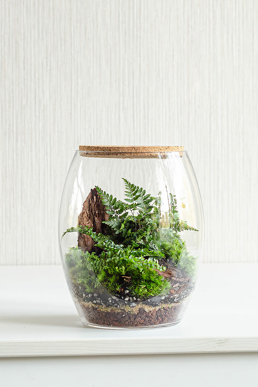 Флорариум DEVON