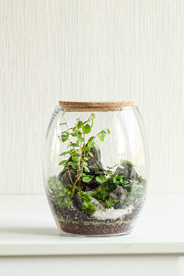 Флорариум KYOTO