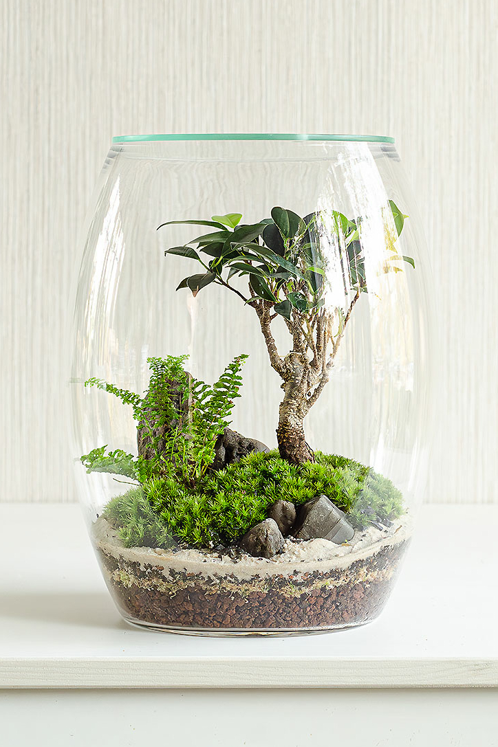 Флорариум OASIS