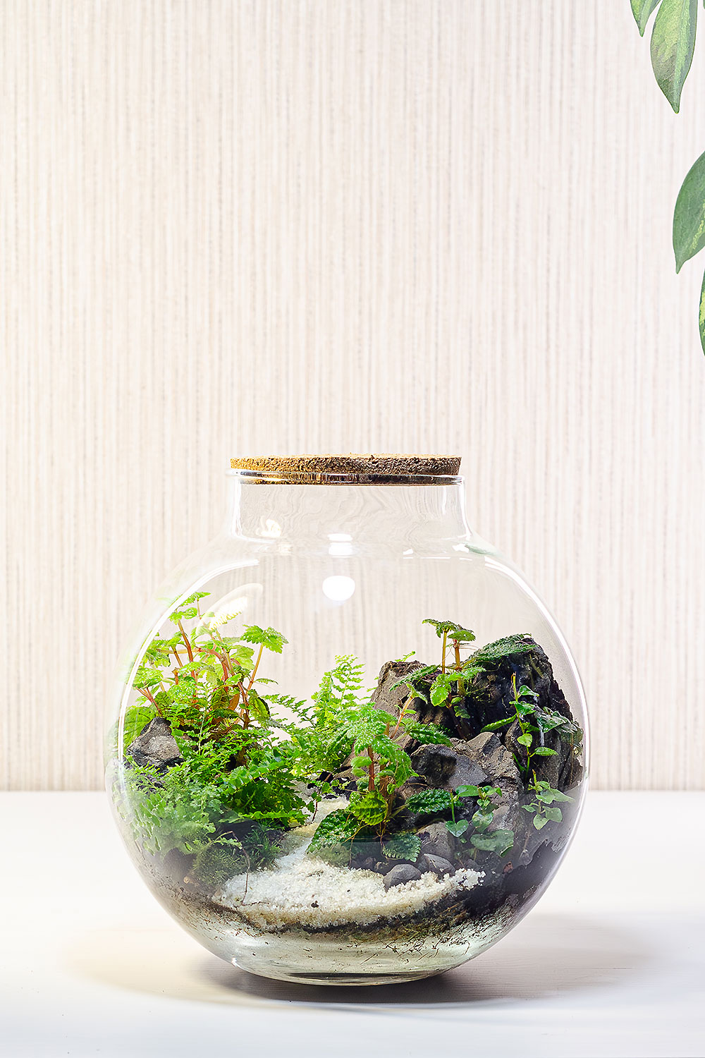 Флорариум KRAPIVA