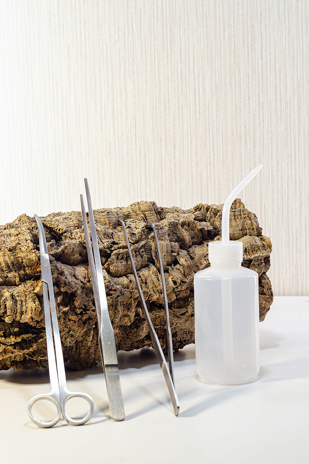 Набор из 4 предметов для ухода за флорариумом