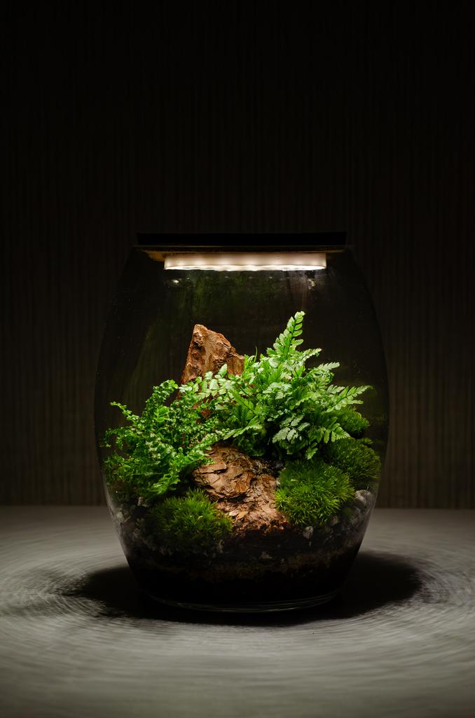 Флорариум DEVON с подсветкой