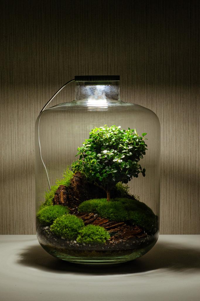 Флорариум SHIRE Premium с подсветкой