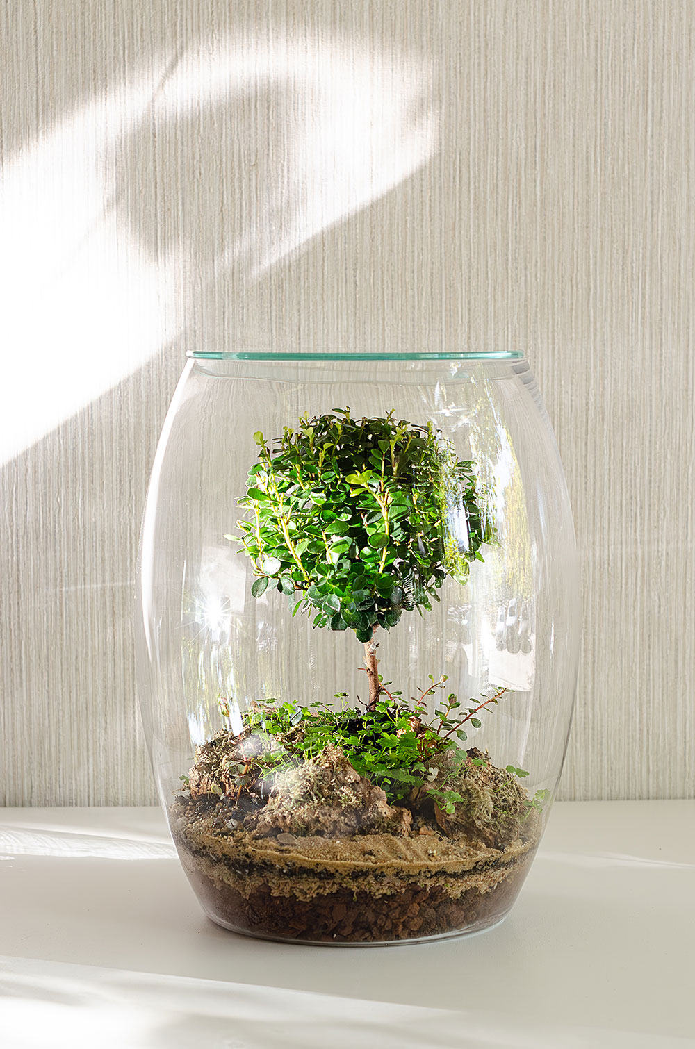 Флорариум AFRICA