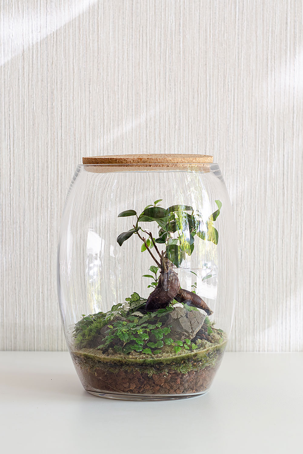 Флорариум MORI