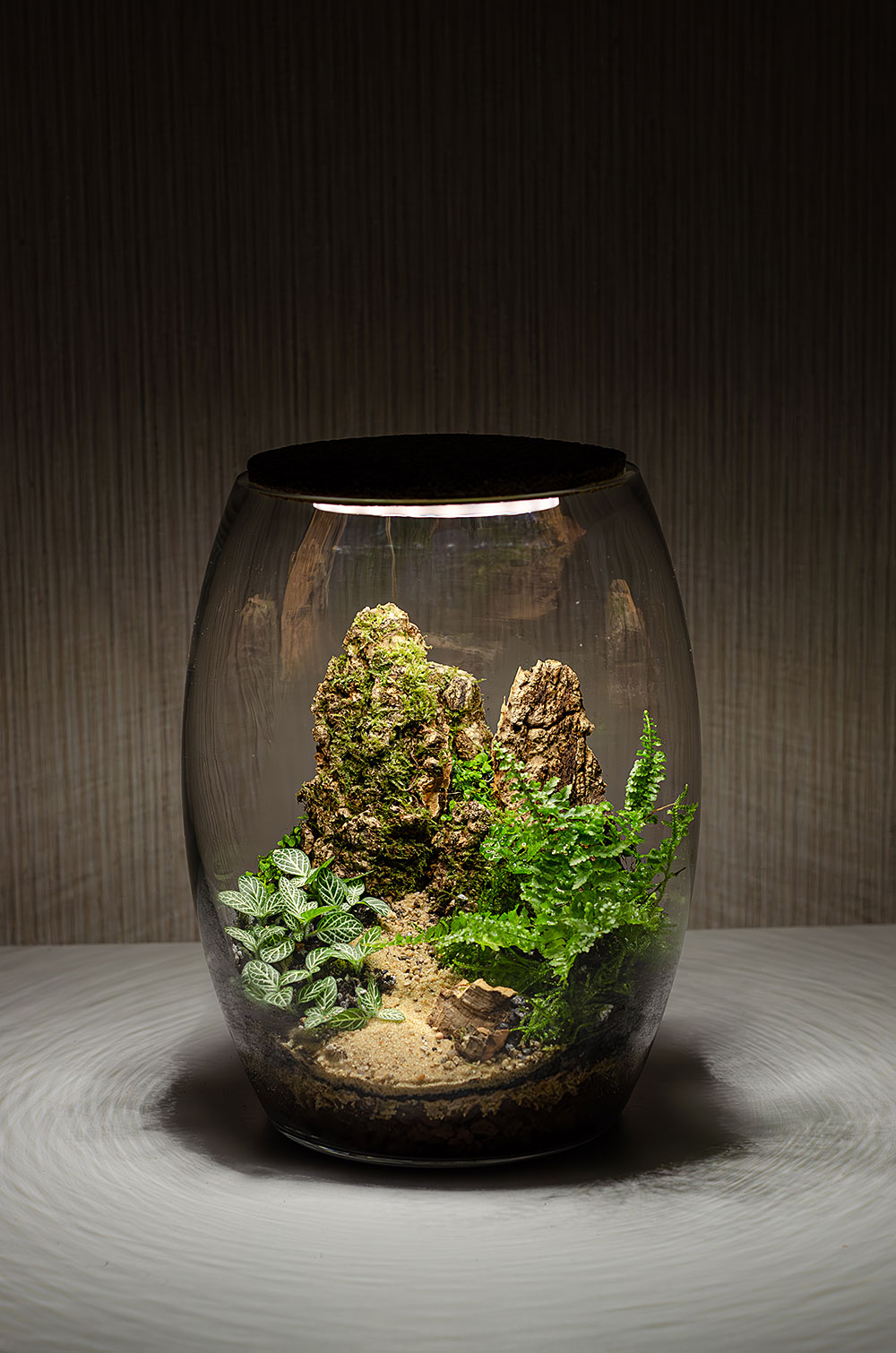Флорариум GLEN с подсветкой
