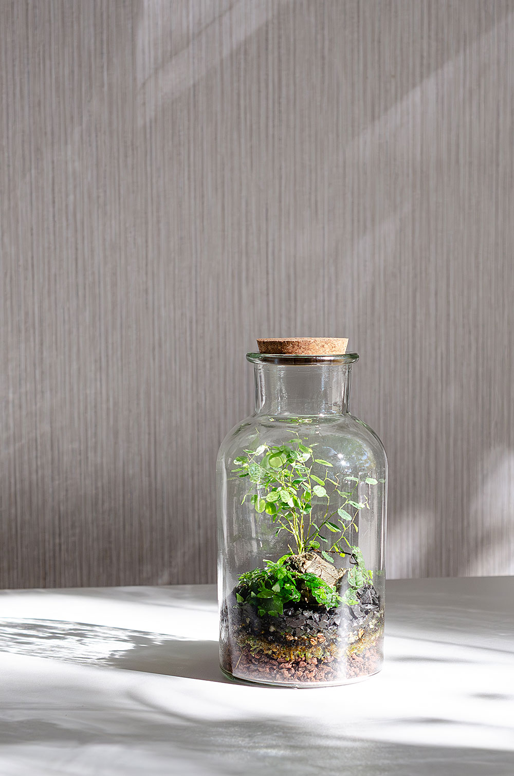Флорариум GREEN BOTTLE