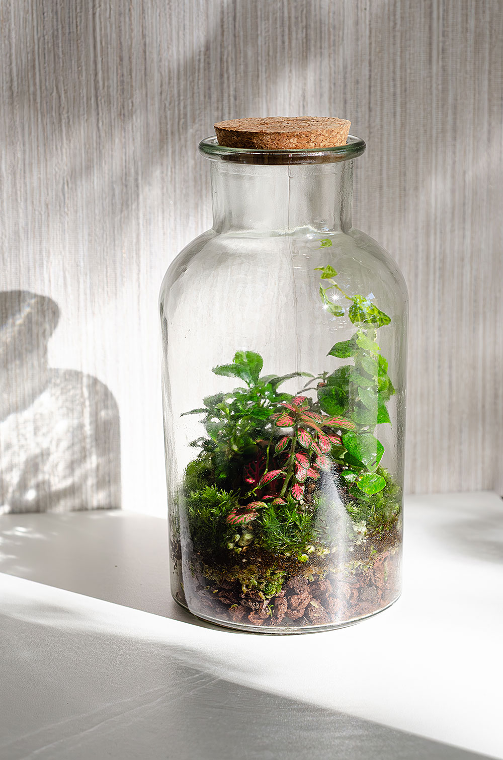 Флорариум RED BOTTLE