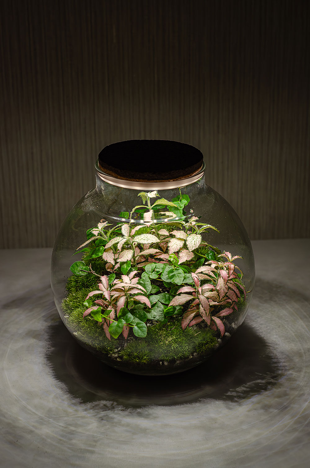 Флорариум Rosy с подсветкой