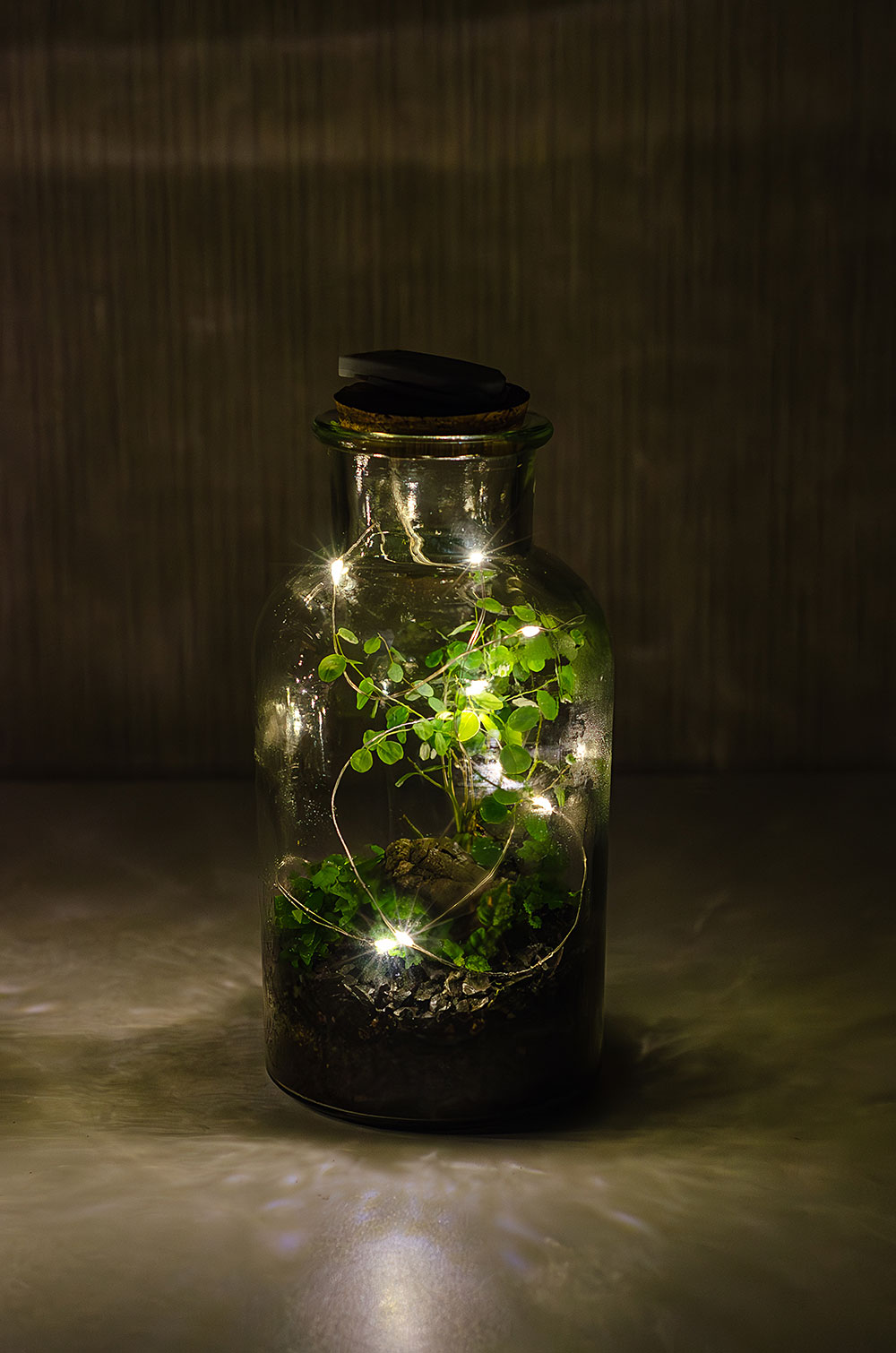 Флорариум GREEN BOTTLE с гирляндой