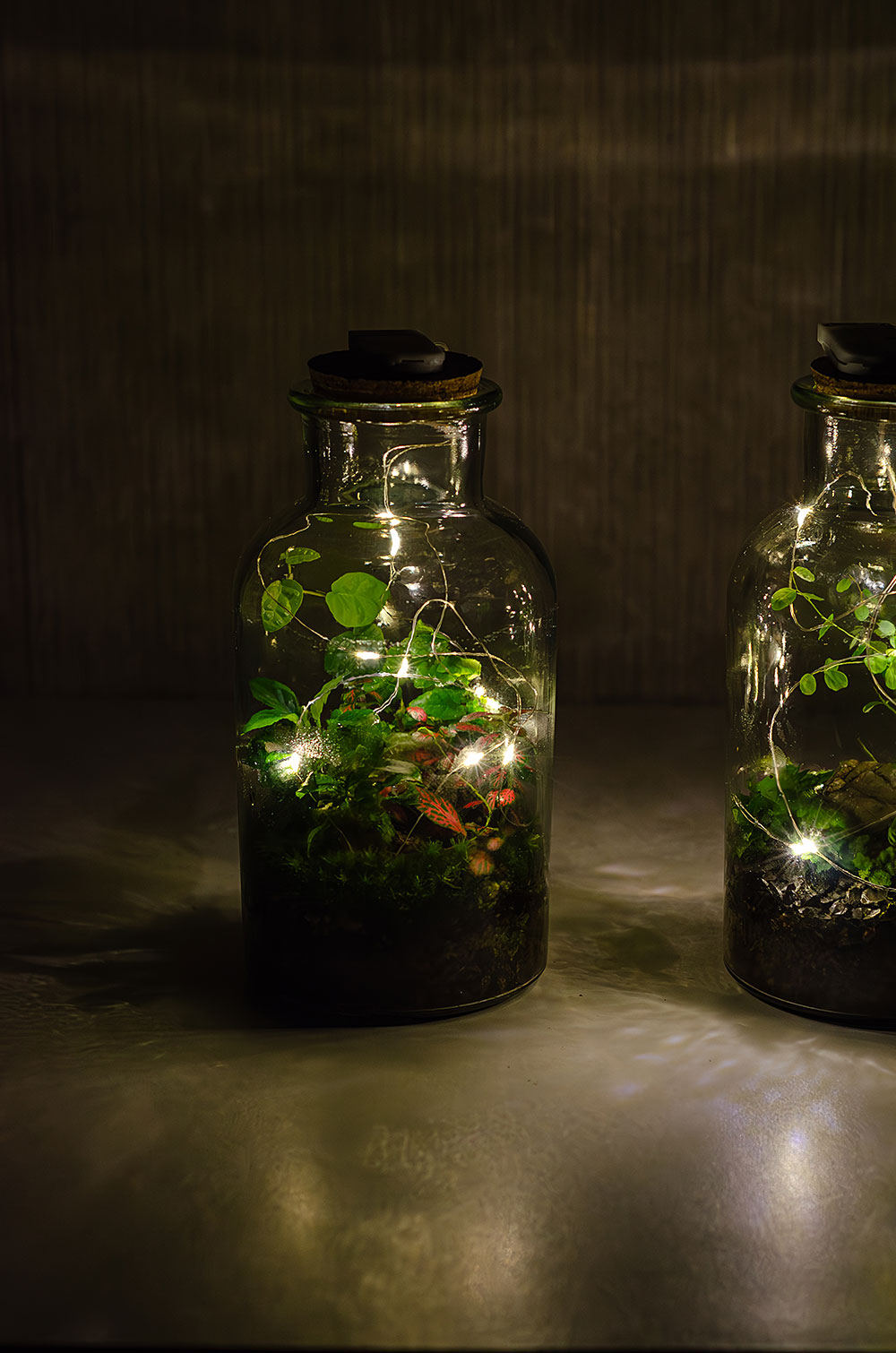 Флорариум RED BOTTLE с гирляндой