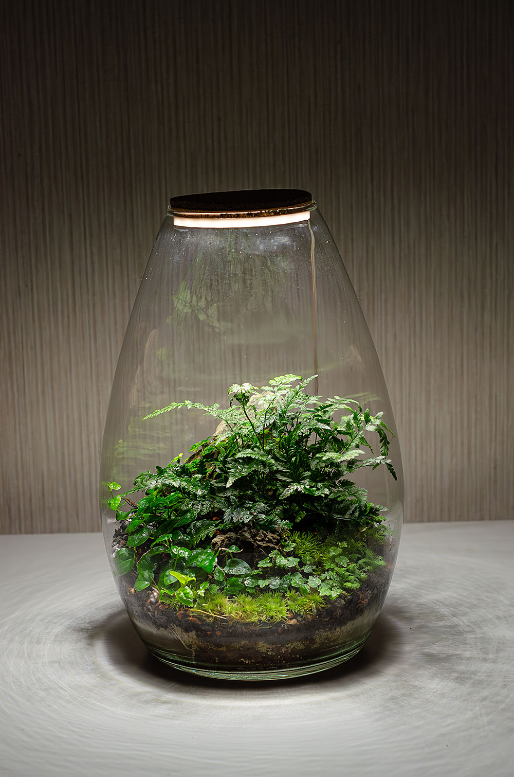 Флорариум NORD с подсветкой