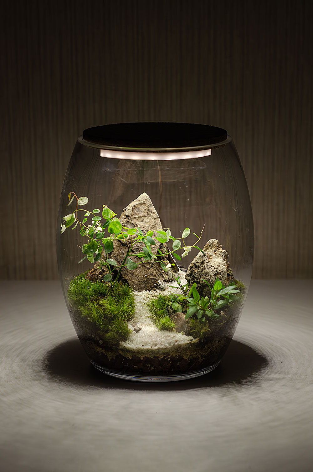Флорариум KYOTO с подсветкой