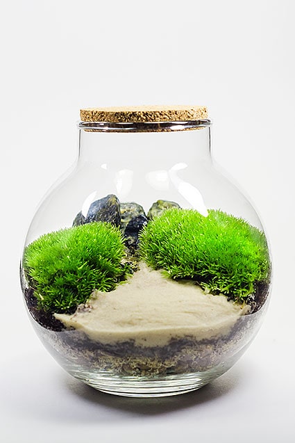 ФЛОРАРИУМ MICRO