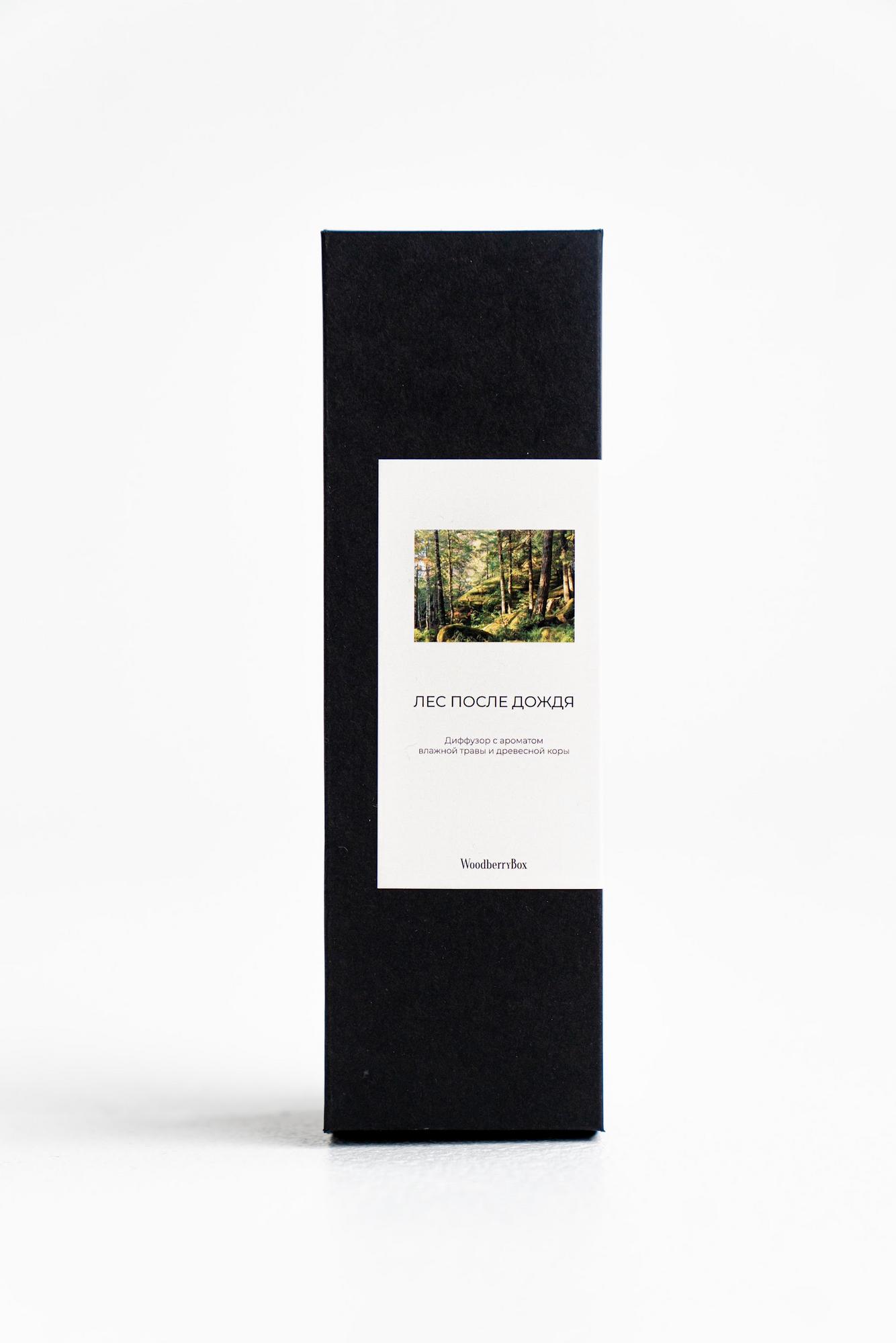 Диффузор ЛЕС ПОСЛЕ ДОЖДЯ