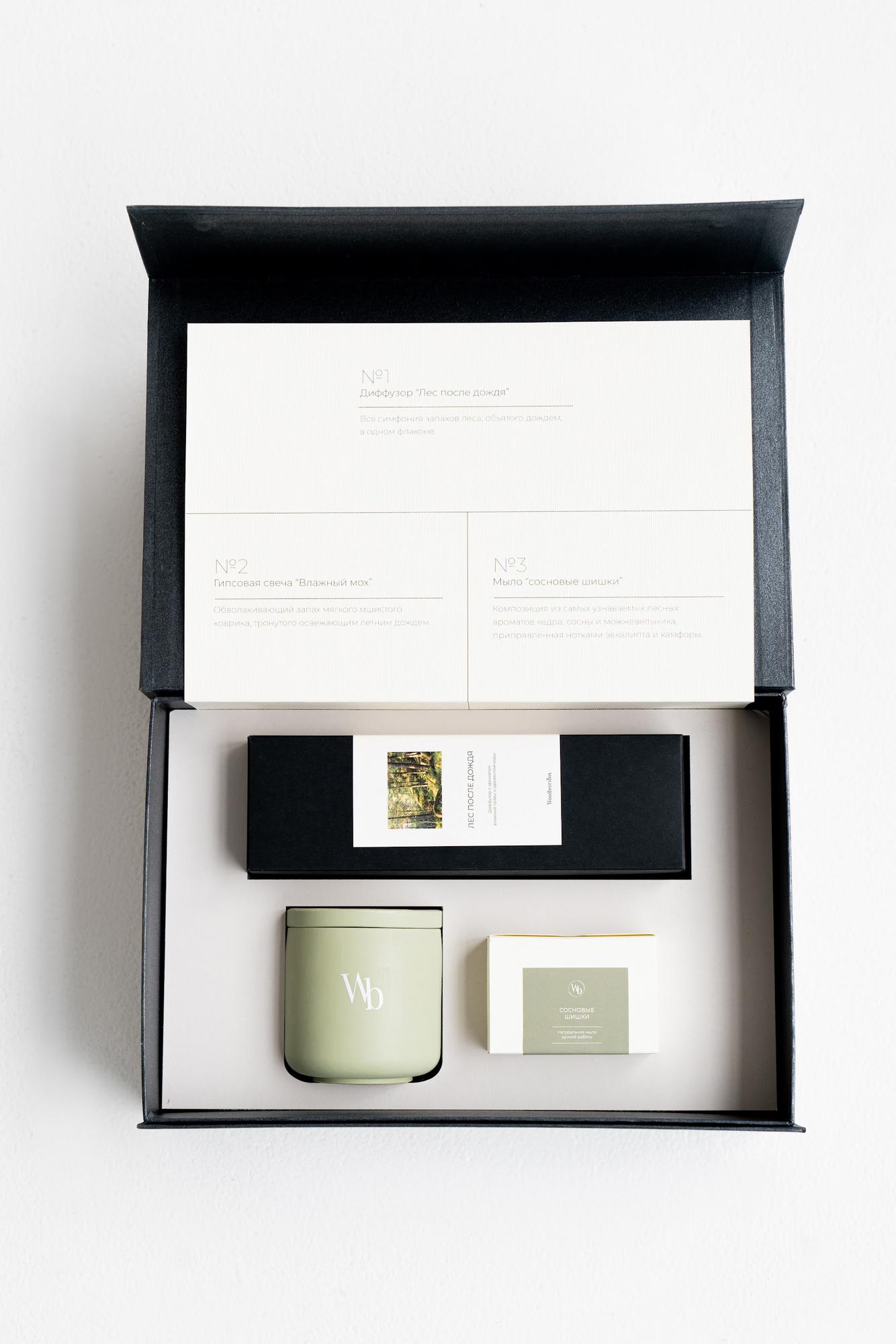 ЛЕС ПОСЛЕ ДОЖДЯ