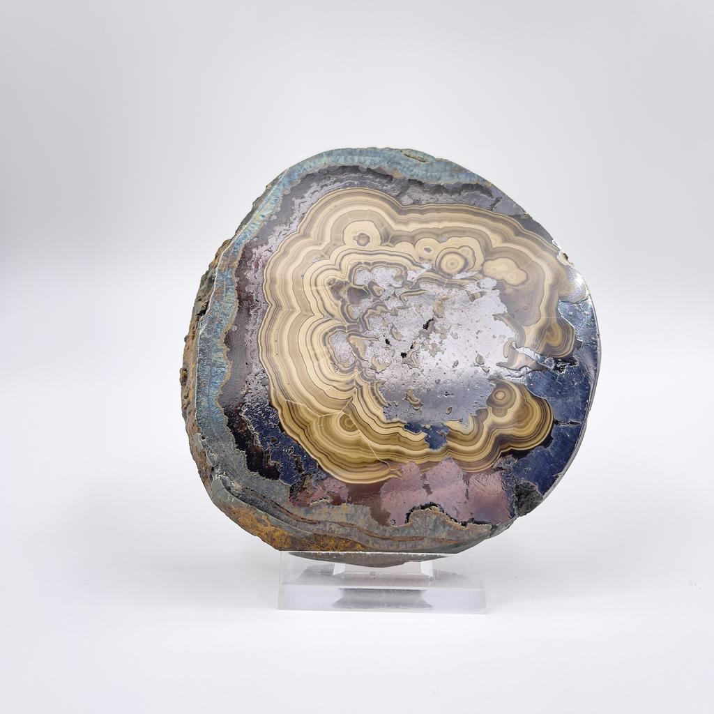 Метаморфоза ракушечника пиритом