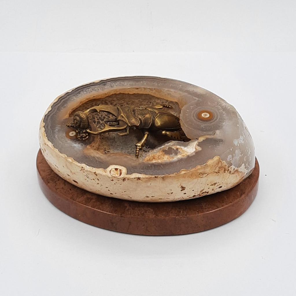 Композиция "Жук и улитка"