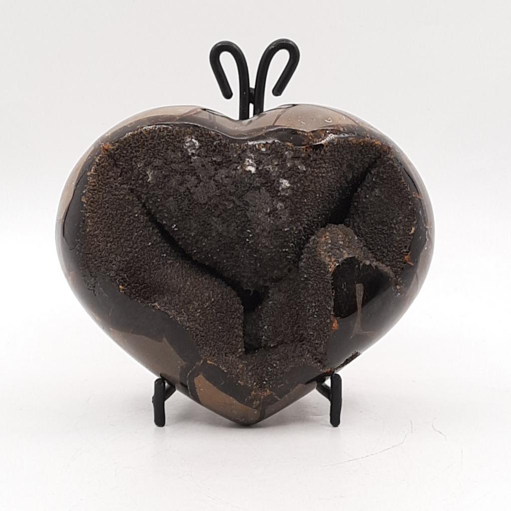 "Сердце", септария, Мадагаскар