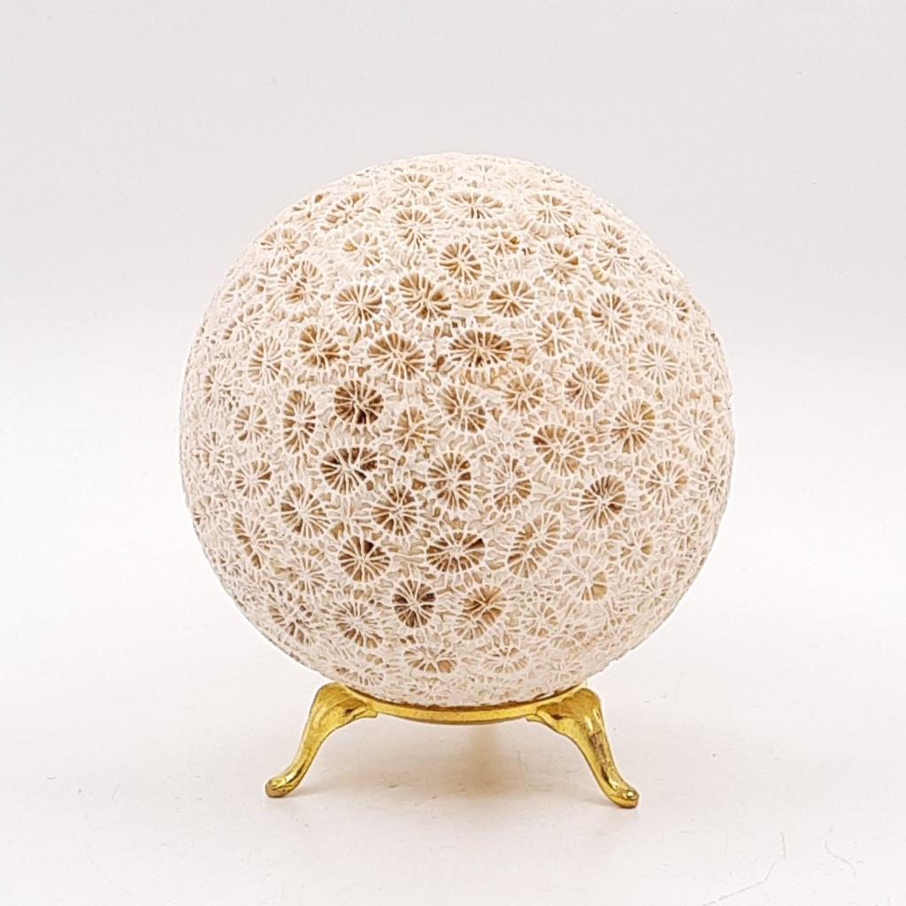 Шар, коралл окаменелый, Индонезия