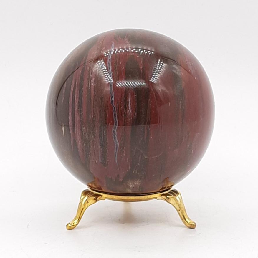 Шар, окаменелое дерево, Мадагаскар