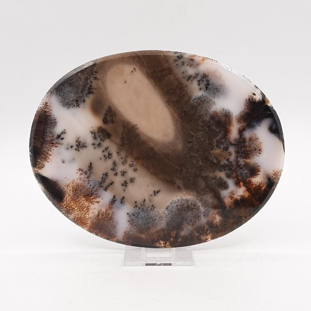 Срез, агат пейзажный, Казахстан