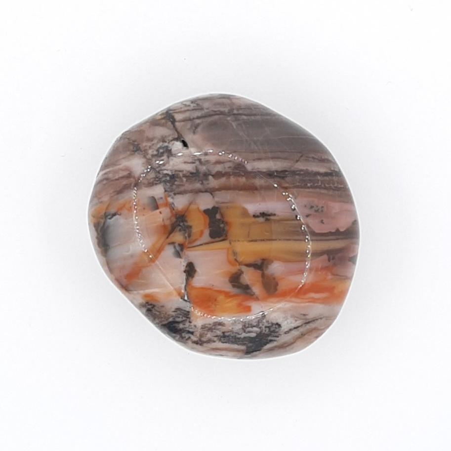 Галька, окаменелое дерево, США, штат Аризона