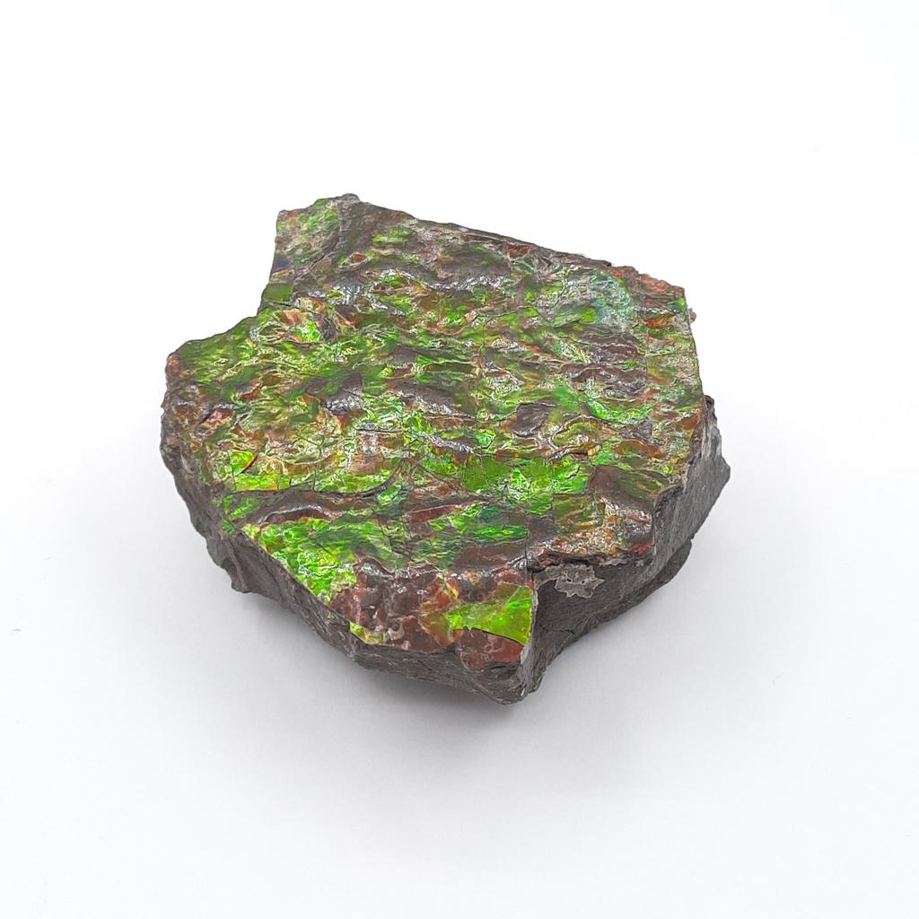 Аммолит, Канада