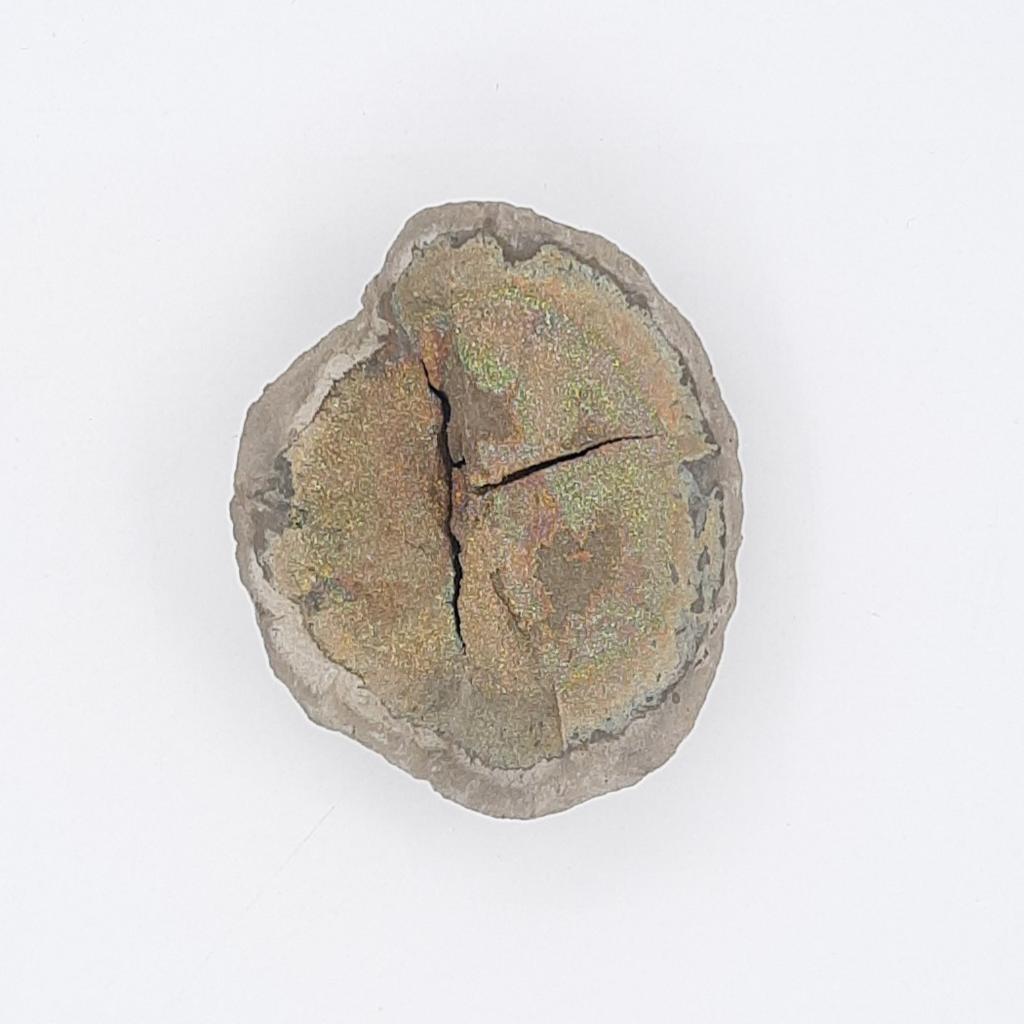 *Конкреция с пиритом, Россия, Ульяновский заповедник