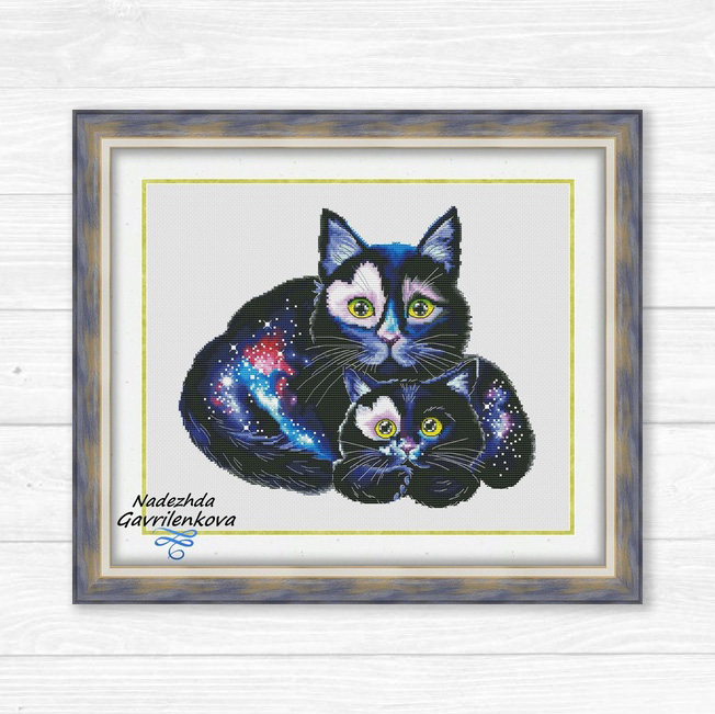 Звездные котики