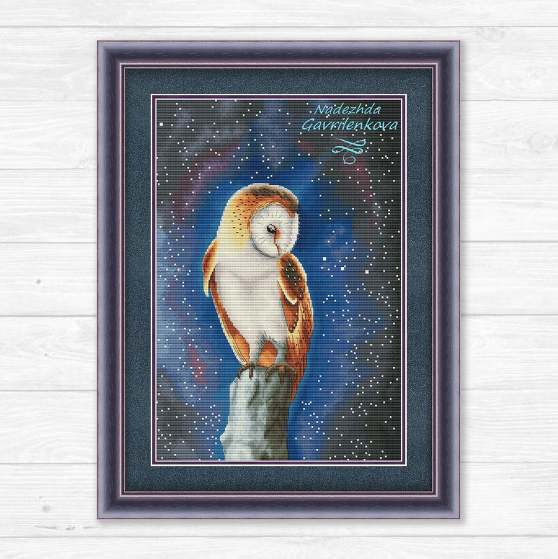 Ночная совушка