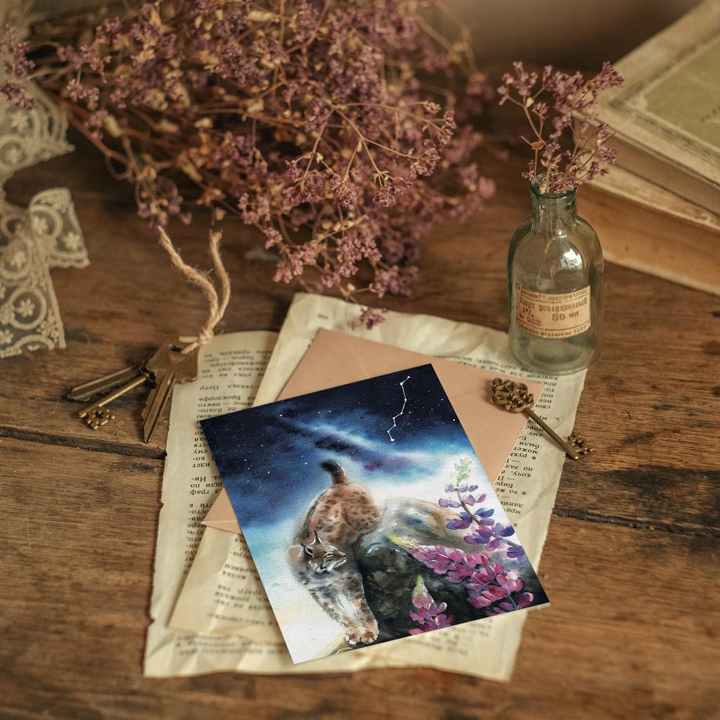 "Созвездие рыси" открытка почтовая