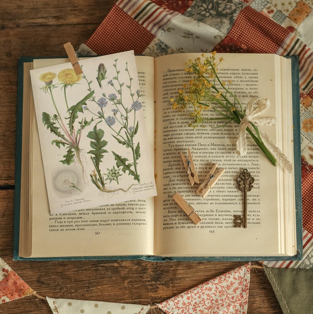 "Ботаника. Одуванчик. Цикорий" почтовая открытка для посткроссинга