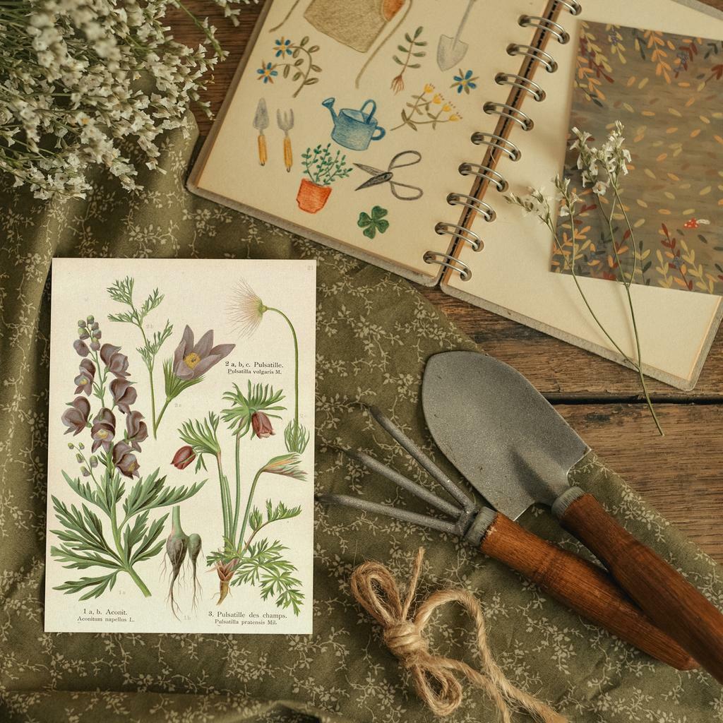 "Ботаника. Аконит. прострел" открытка почтовая для постркоссинга