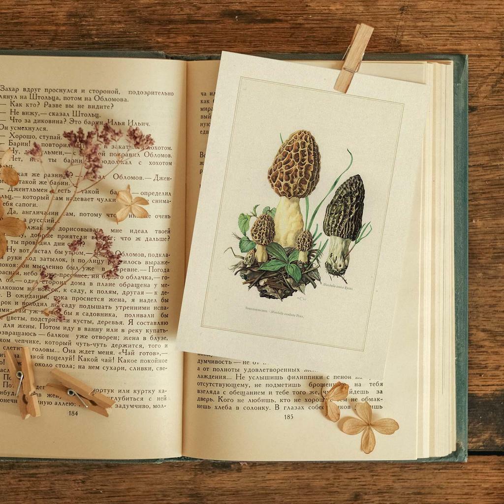 "Съедобный сморчок" почтовая открытка для посткроссинга