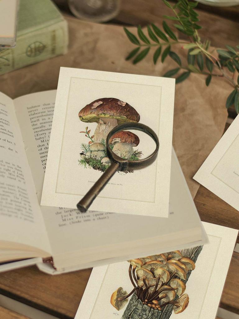 "Cосновый подберёзовик" почтовая открытка для посткроссинга