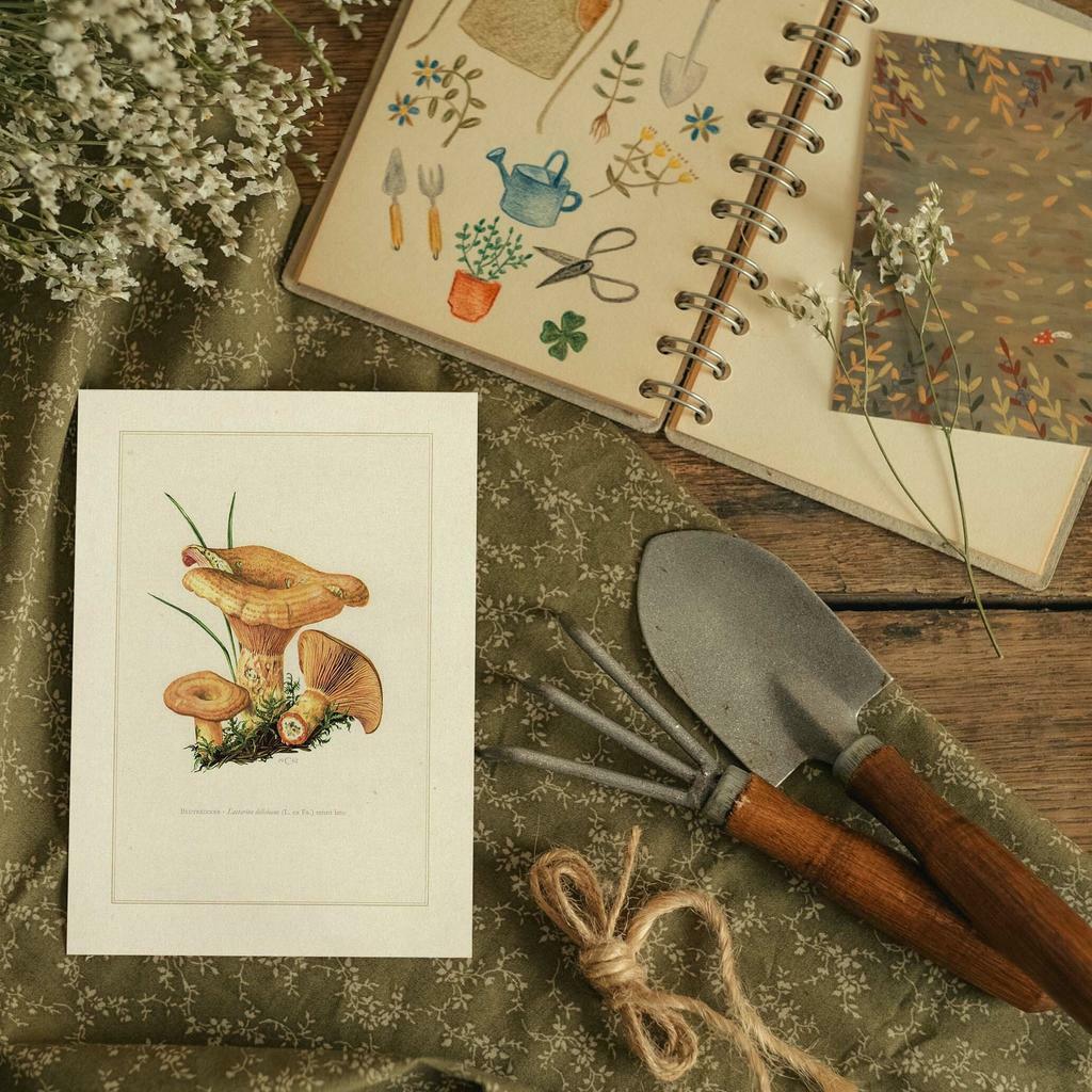 "Семейка рыжиков" почтовая открытка для посткроссинга