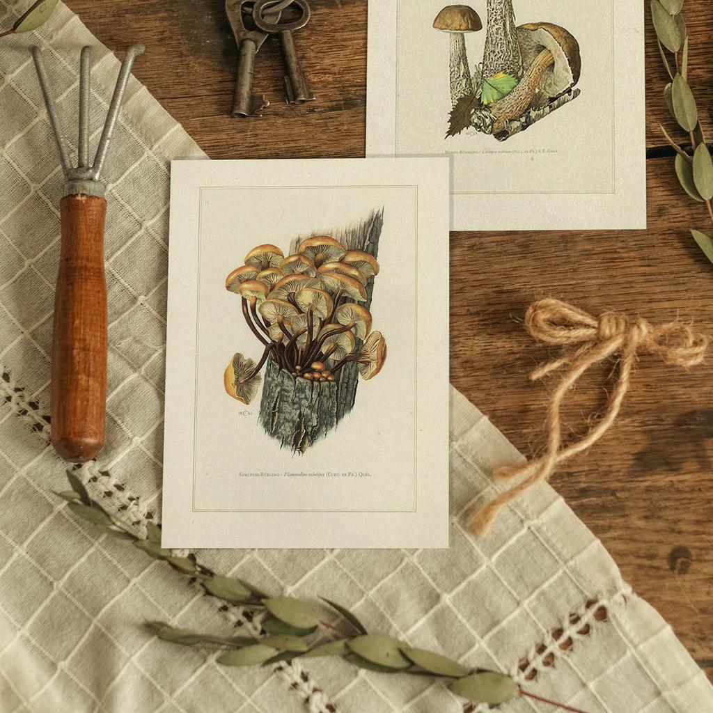 "Опёнок зимний" почтовая открытка для посткроссинга