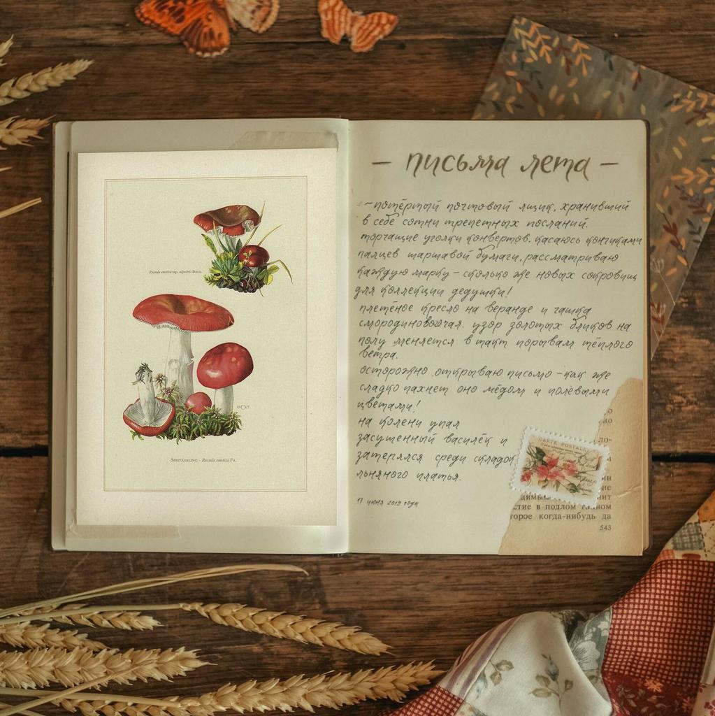 "Сыроежка жгучеедкая" почтовая открытка для посткроссинга