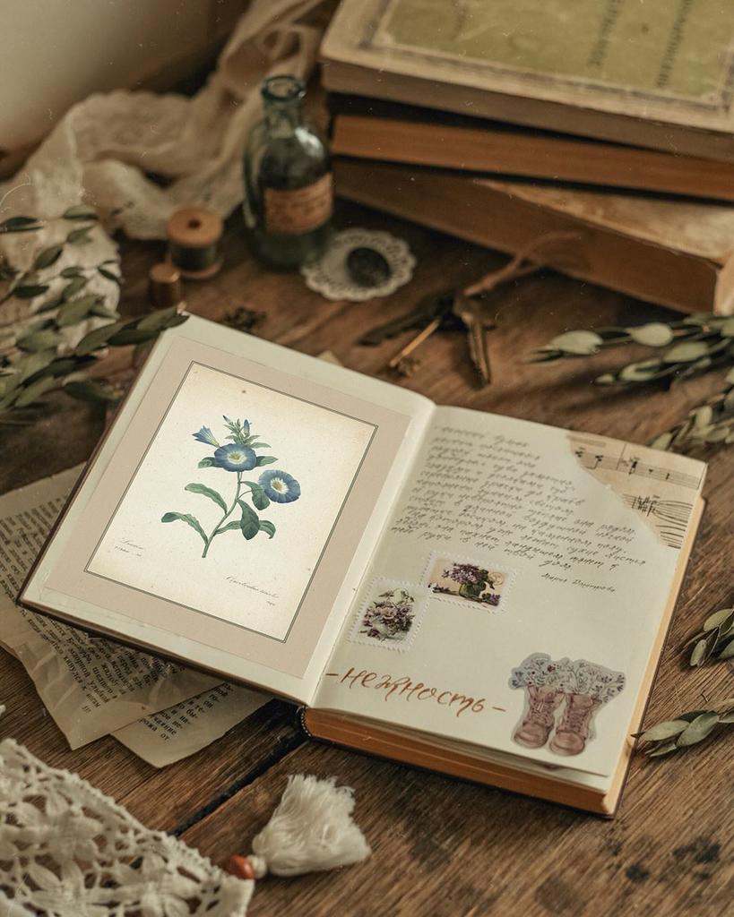 "Вьюнок трёхцветный" почтовая открытка для посткроссинга