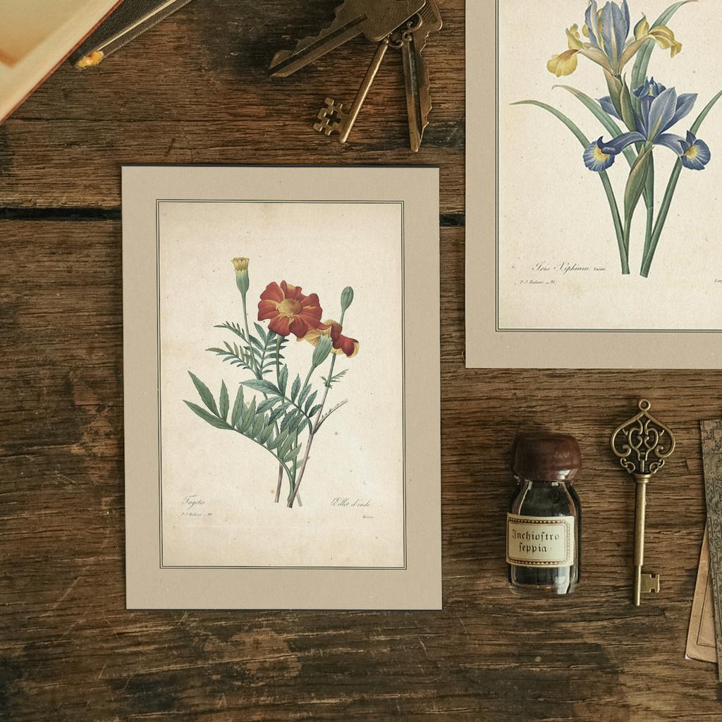 "Бархатцы" почтовая открытка для посткроссинга