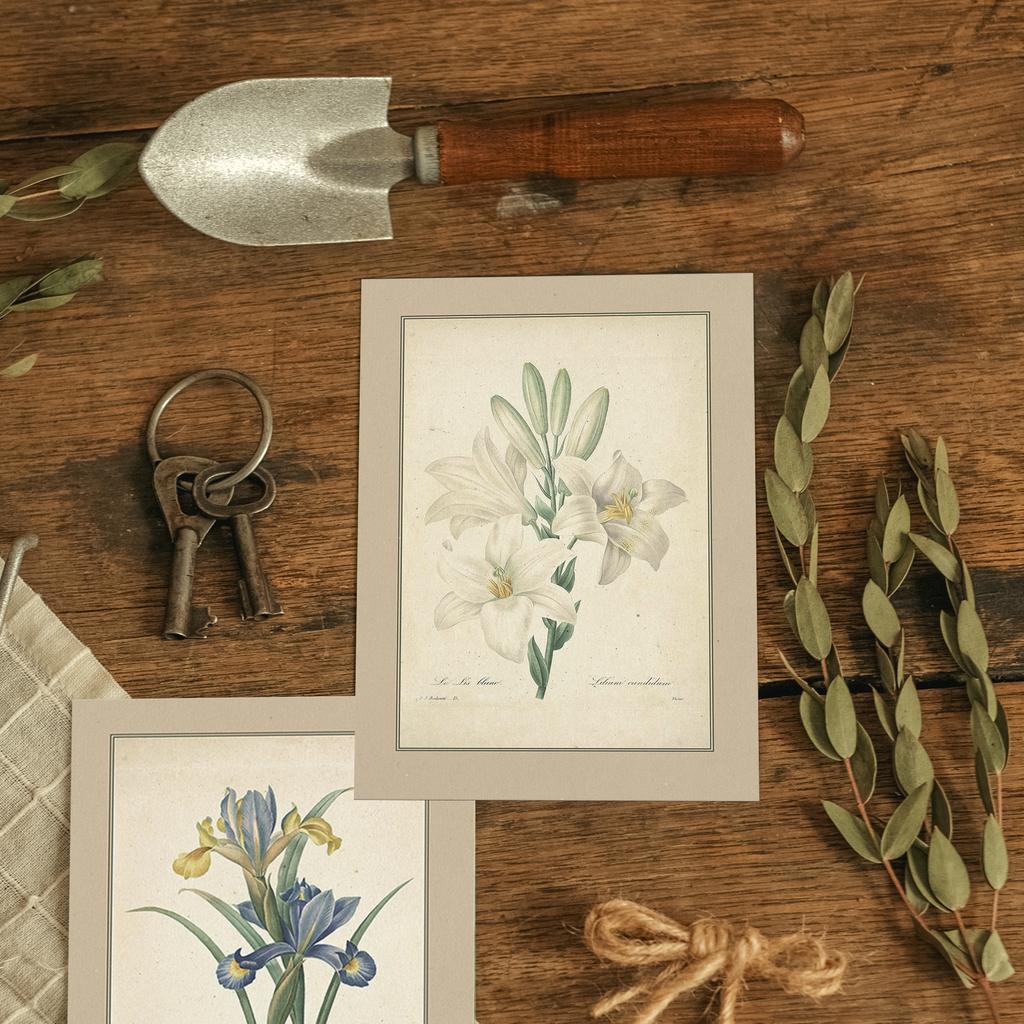 "Белая лилия" почтовая открытка для посткроссинга