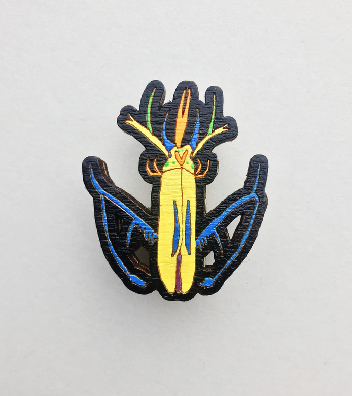Pin "Imaginary beetle"