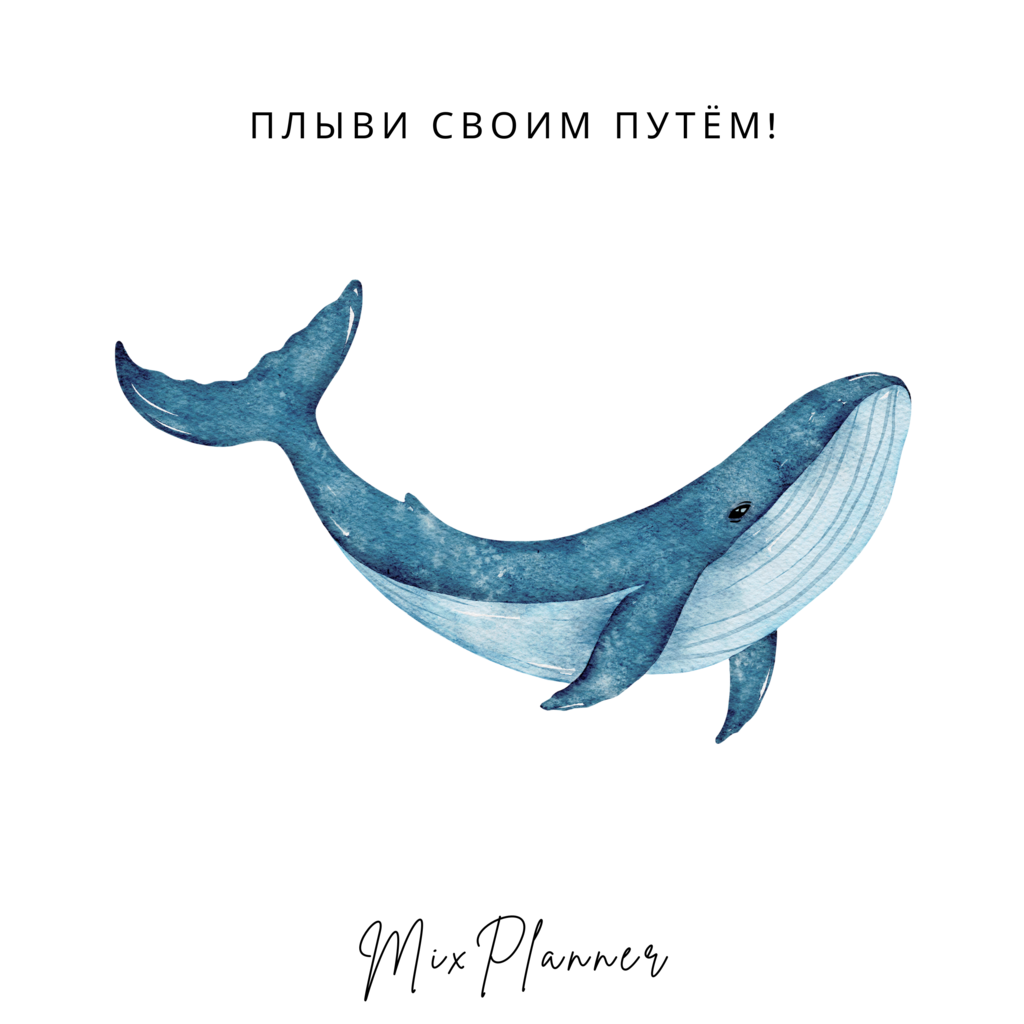 Открытка "кит"