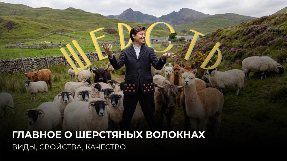 ШЕРТЬ. ГЛАВНОЕ