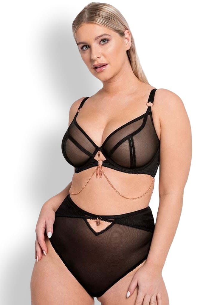 Трусы с высокой талией Curvy Kate Scantilly Unchained High Waist Brief