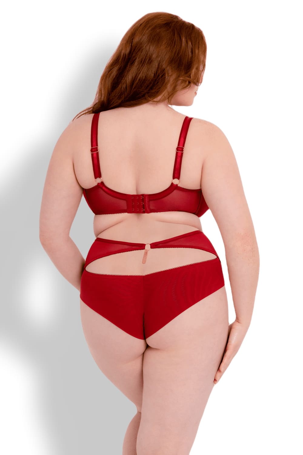 Трусы с высокой талией Curvy Kate Scantilly Unchained ST016208DRE