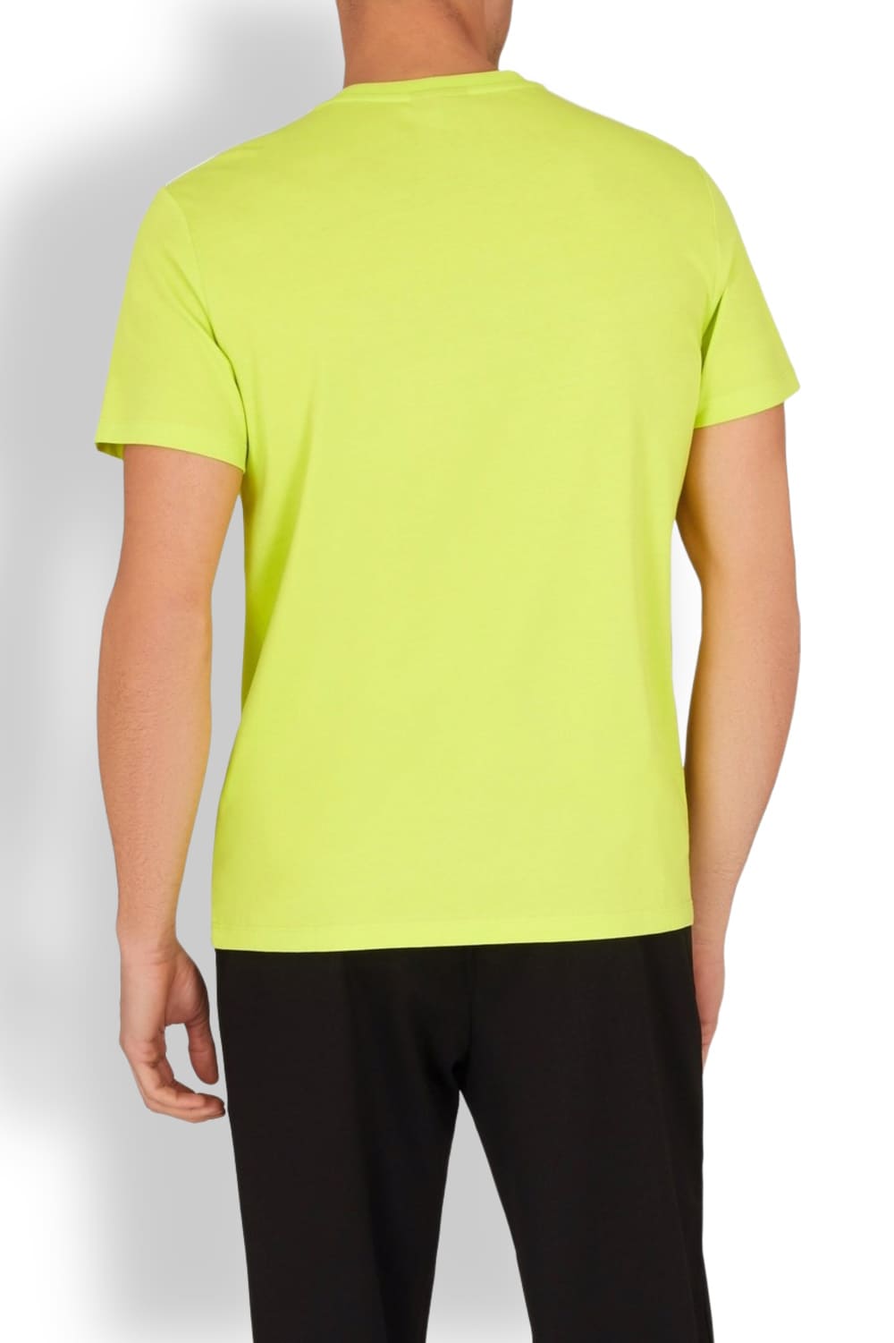 Мужская футболка из хлопка Emporio Armani EM000574 AF12333