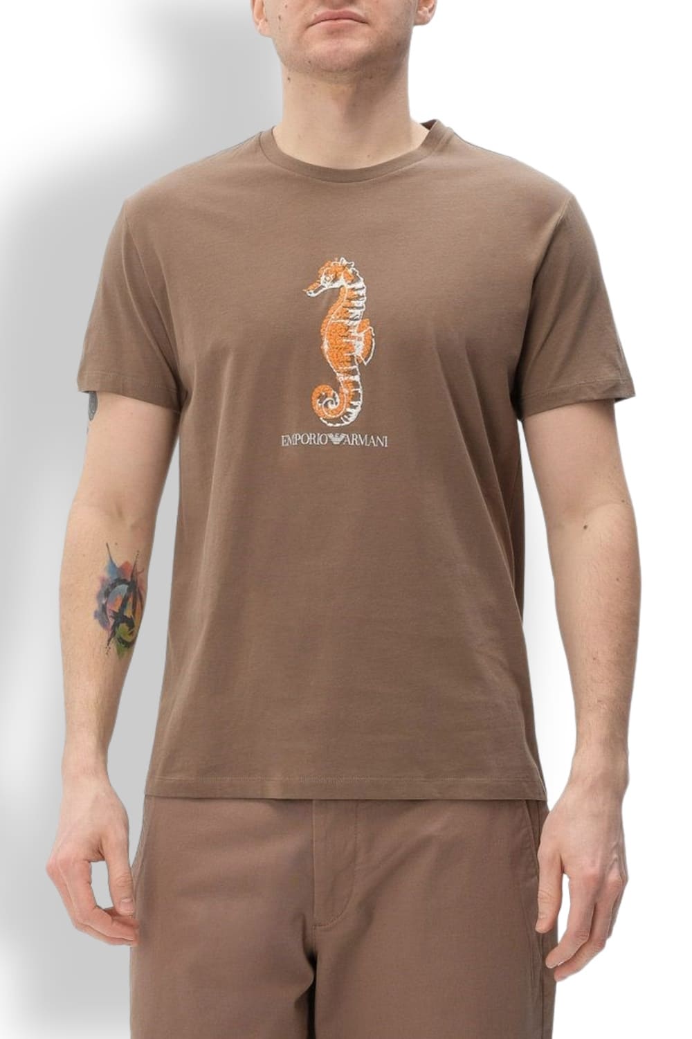 Мужская футболка из хлопка Emporio Armani EM000574 AF12347